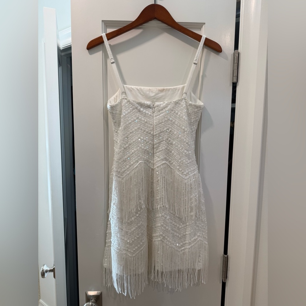 Dress the Population Anya Beaded Fringed Mini Dress. Size XS - Picture 2 of 4